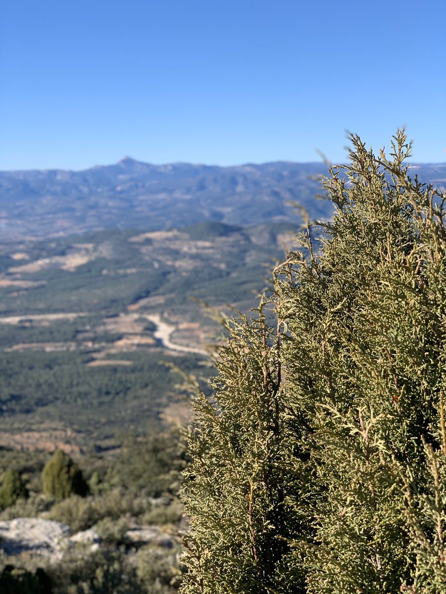 cesardura20's tweet image. Gaudint de la nostra província i al mateix temps desconnectant dels exàmens📚. 

Som uns privilegiats de viure a #Castelló 
#OrgullDeCS