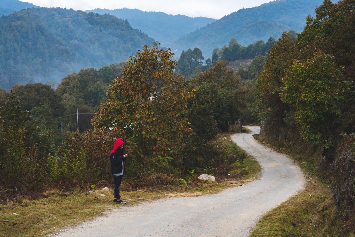 indianortheast's tweet image. Breathe clean and feel the cold morning which is so much more than just a place covered with frost that shines more that anything.

A  mystic land.••@ArunachalPradesh
📸@pragyanbezbaruah ••••••••••••••••••••••••••••••♦