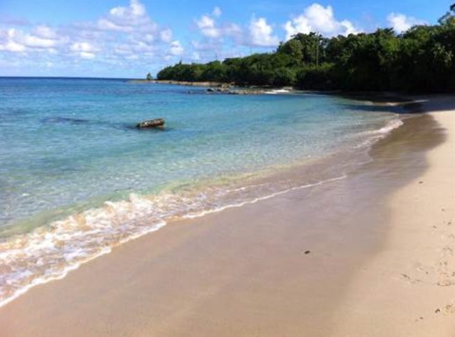 CaribbeanProp's tweet photo. Butler Bay, St Croix, United States Virgin Islands. Great Development and Investment opportunity to acquire 65 Acres of prime residential land on St. Croix. 40 of the total 52 acres are zoned R-3 and are specifically authorized under its zoning for 183 hotel rooms.
😎👌🏝⛵️☀️ https://t.co/0KBHkXmMcY