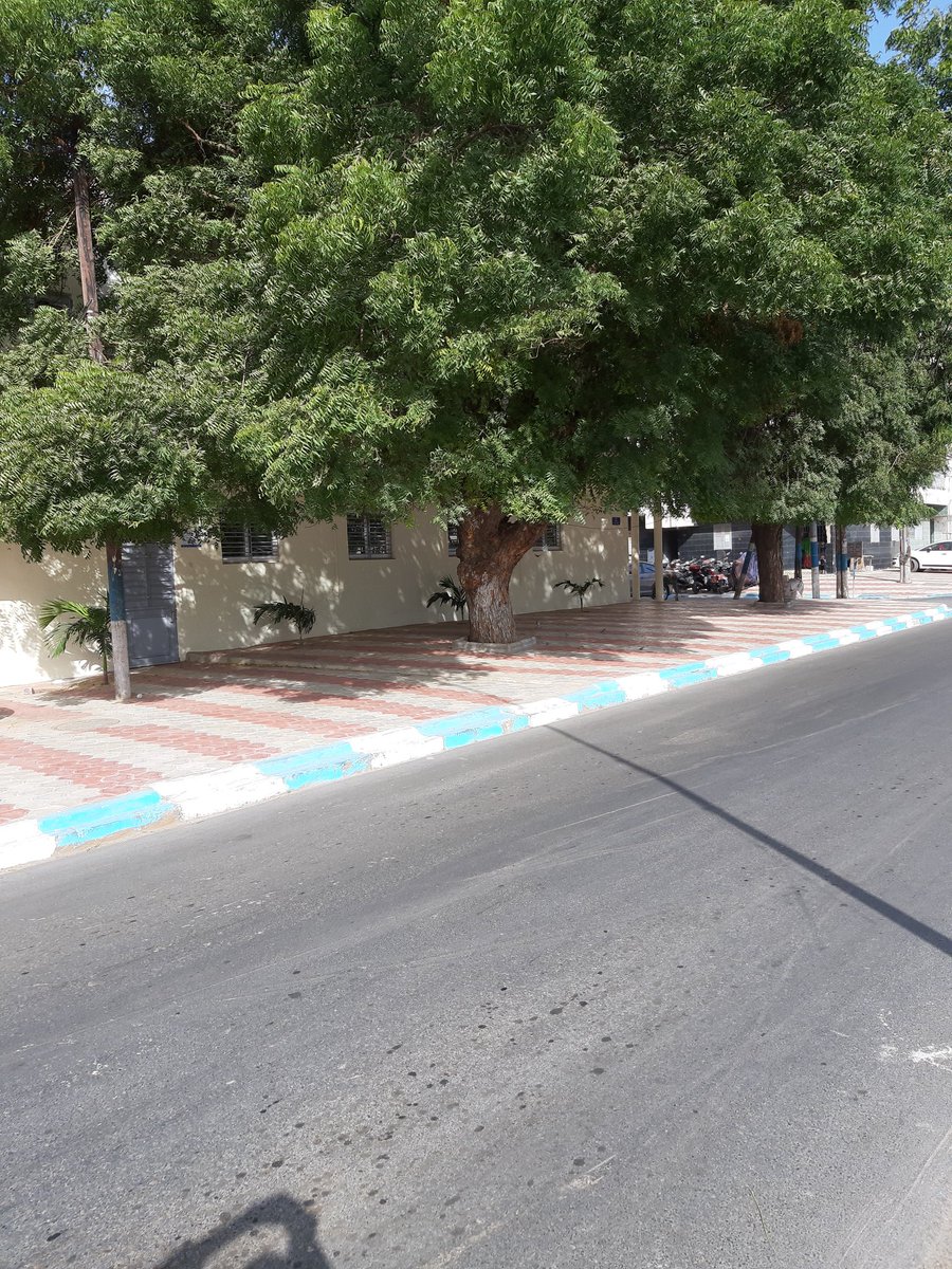 BaXaadim's tweet photo. Quartier propre c'est possible à l'image de Fann Hock...
#senegal
#kebetu
#QuartierPropre https://t.co/7ZT2bozyYs