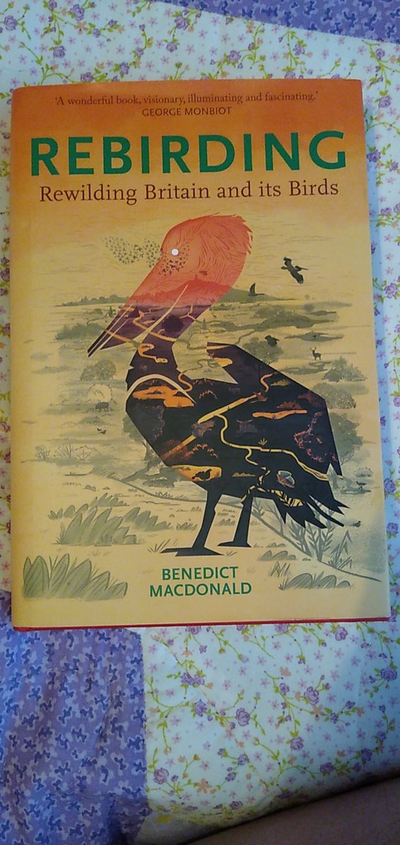 Reading this brilliant, challenging and beautifully written book that paints a vision of a rewilded Britain that combines a future for wildlife with sound economic sense. Utterly inspiring and a great way to invest a Sunday morning.