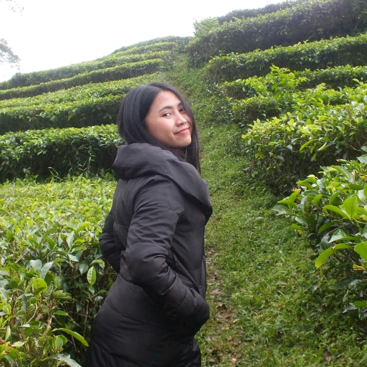 Yukhe Meiling tweet media
