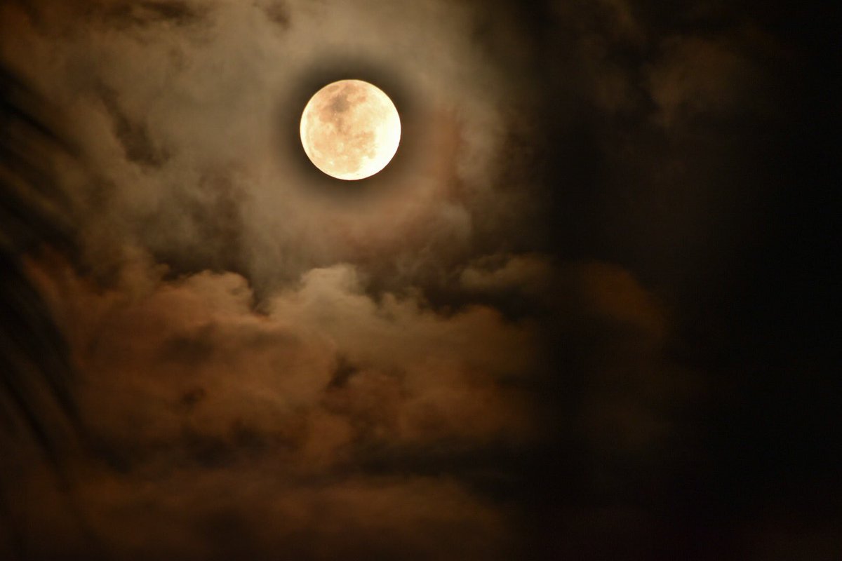 dailymoonpics's tweet photo. those pictures are powerful and stunning. 

©️ @RamonTagli https://t.co/NRnbbYLYK6