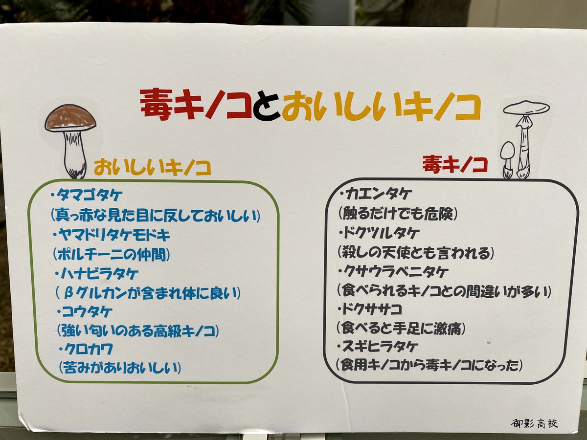 Popなきのこ展 に行ってきました Togetter