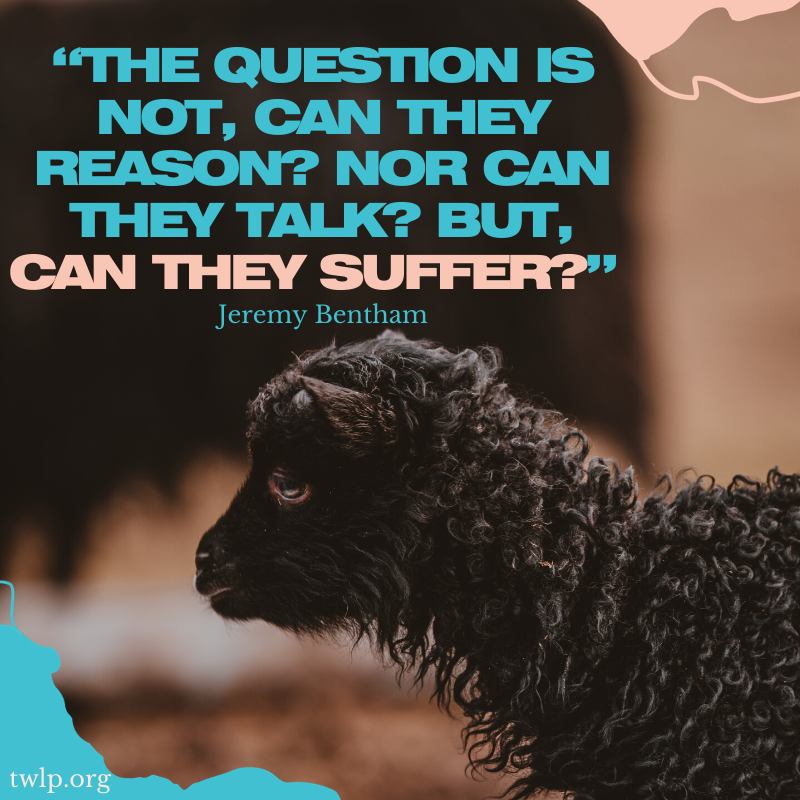 twlp_org's tweet photo. The next question is: 'Are you causing unnecessary suffering?' https://t.co/f6dlz45KmS