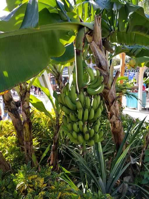 Watch Steven 🔞's leaked NSFW photo on TwXstars