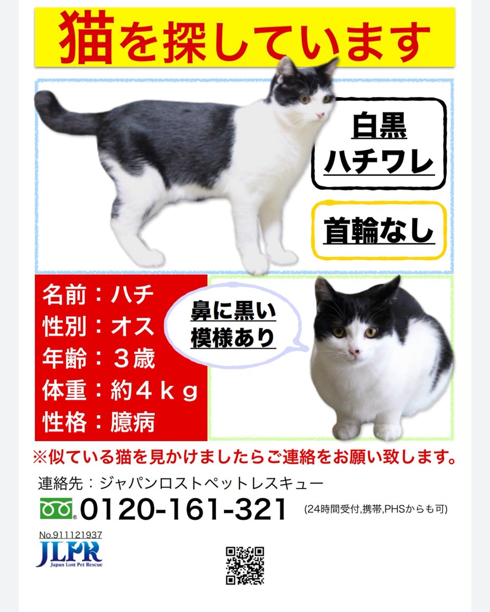 千葉市猫ボランティア連絡会 Tenmao1tenmao Twitter