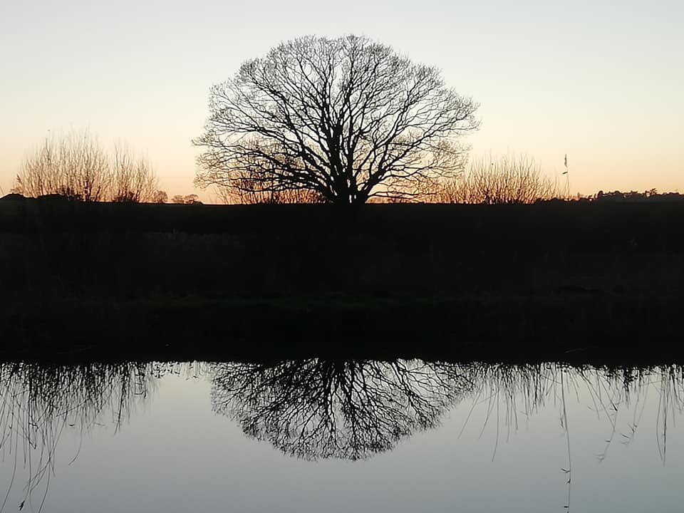 NWDCTrust's tweet photo. We love to receive pictures from our visitors, thank you Ed Foss👏. #NorthWalshamandDilhamCanalTrust #NorthNorfolk #NorthWalsham #Dilham #Norfolk #NorfolkMills #Canal #Waterway #Nature #Wildlife #VisitNorfolk #VisitNorthNorfolk #picoftheday https://t.co/gJVSVg8OfN