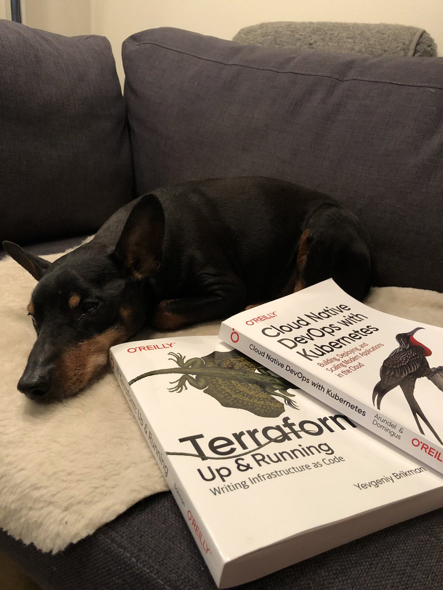 annaruokonen's tweet photo. Just trying to teach the old dog some new tricks.. #readyfor2020 https://t.co/Cl8haJZA4y