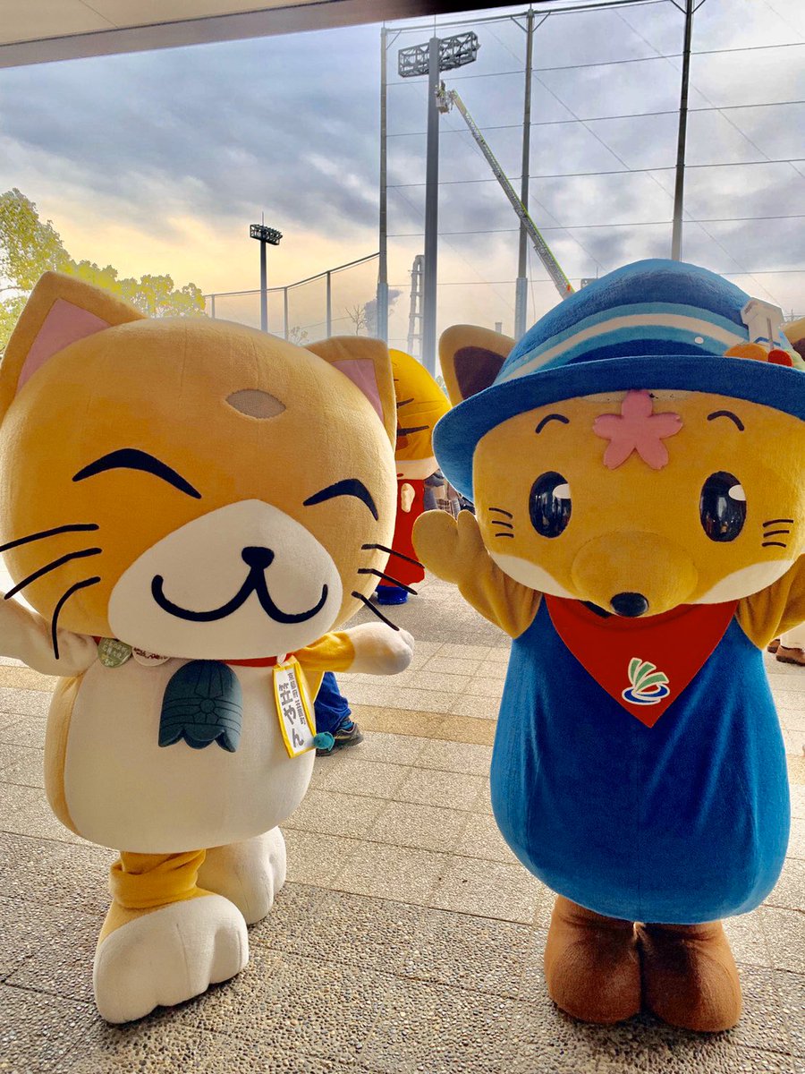 笠やん 公式 京都府 笠置町pr A Twitteren 岐阜県 海津市観光協会の かいづっち Kaizukanko とニャニャーン 笠やん かいづっち ご当地キャラクター感謝祭 四日市市出初式 四日市ドーム