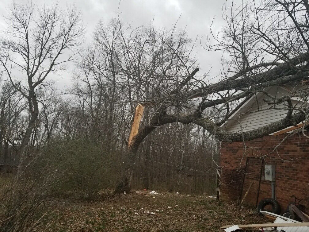 Morgan_Hayes97's tweet photo. @joeimel The man who lives in that house works for me, his kids called having a fit when it happened! Glad it wasn’t any worse. https://t.co/onlgPJ1OQu