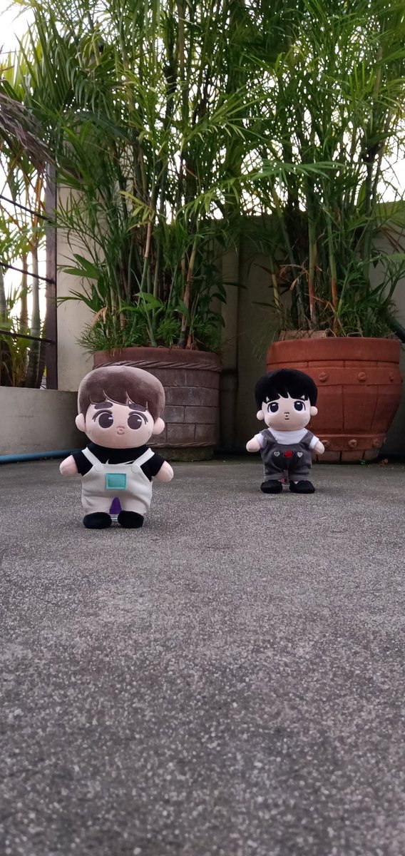 뚜뚜 (@cutestdudu) / Posts / X