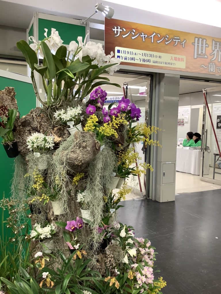 サンシャインらん展 サンシャインらん展
