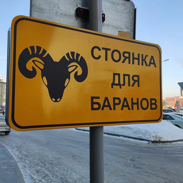 blizzardoff's tweet photo. #мимими #стоянкадлябаранов :)) https://t.co/xKu1hefkKT https://t.co/pelbCHLmqW