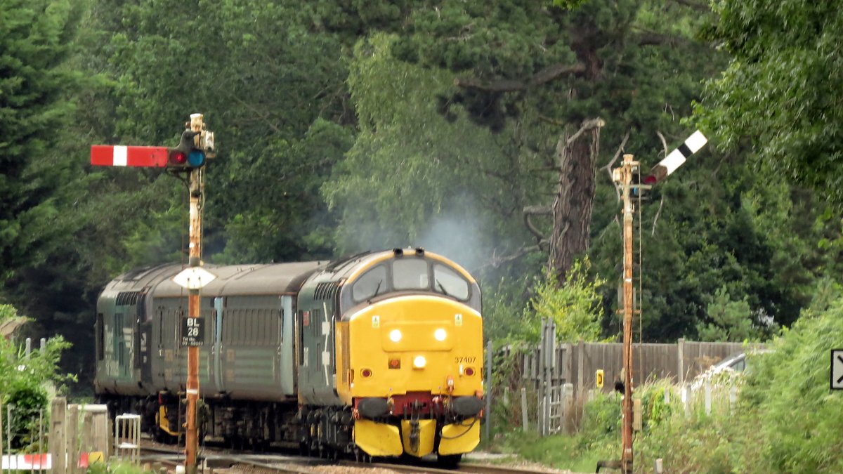 Tarka_Man's tweet photo. #Sundayshocker Two signals, two carriages and two class 37's too much! 31 July 2019 at Bells No.6 crossing Brundall with the 10.14 to Lowestoft @WherryLines @C37LG @banditman59uk @railscot @Richard_rail @chuckleoftheday https://t.co/BQJXkGySgQ