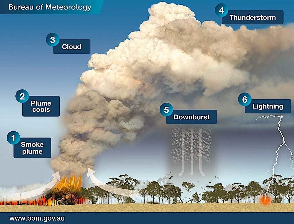 Australian bushfires are so huge they're creating thunderstorms that