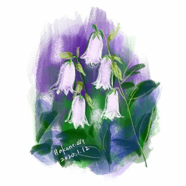 ﾎﾀﾙﾌﾞｸﾛ