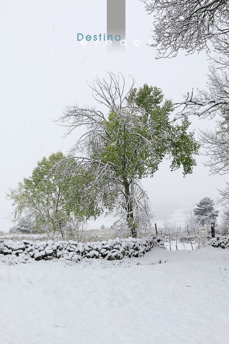 ¿Sabes lo que es el #PactoporlaRepoblación? Desde ahora vas a oír hablar mucho de él. No estamos dispuestos a rendirnos y que nuestros pueblos desaparezcan por la desidia de unos y el interés económico de otros. ¡Vamos a por todas! ¿Contamos contigo? Seguro que sí. @PRepoblacion