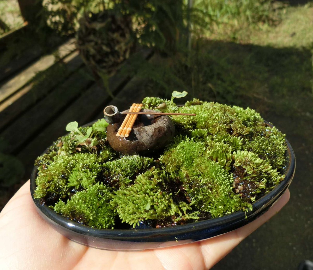 盆石 葛盆 (N) 両面 Fivepears 12 Pieces Tungsten Carbide Router Bit Set 1/4 Inch