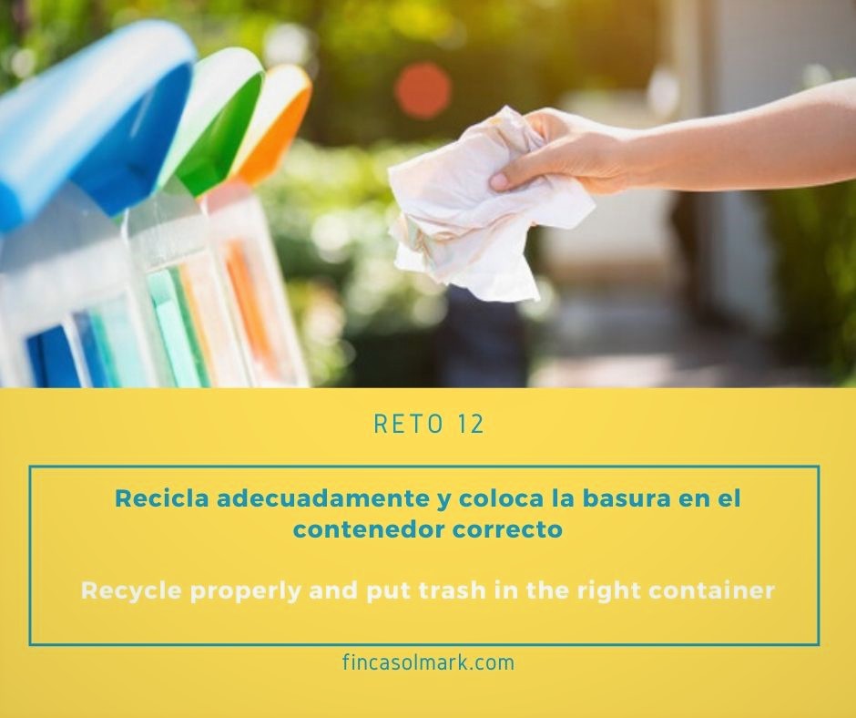 FSolmark's tweet photo. Nuestras acciones y decisiones tienen una gran repercusión en el mundo.💪 ¡Aprende a reciclar adecuadamente! 😊Disminuirás la contaminación, ahorrarás energía, preservarás los recursos naturales🌿🌳....¡Y mucho más!
#reduce #reutiliza #recicla #basura #medioambiente #ecología https://t.co/Qv8BKiHJe2