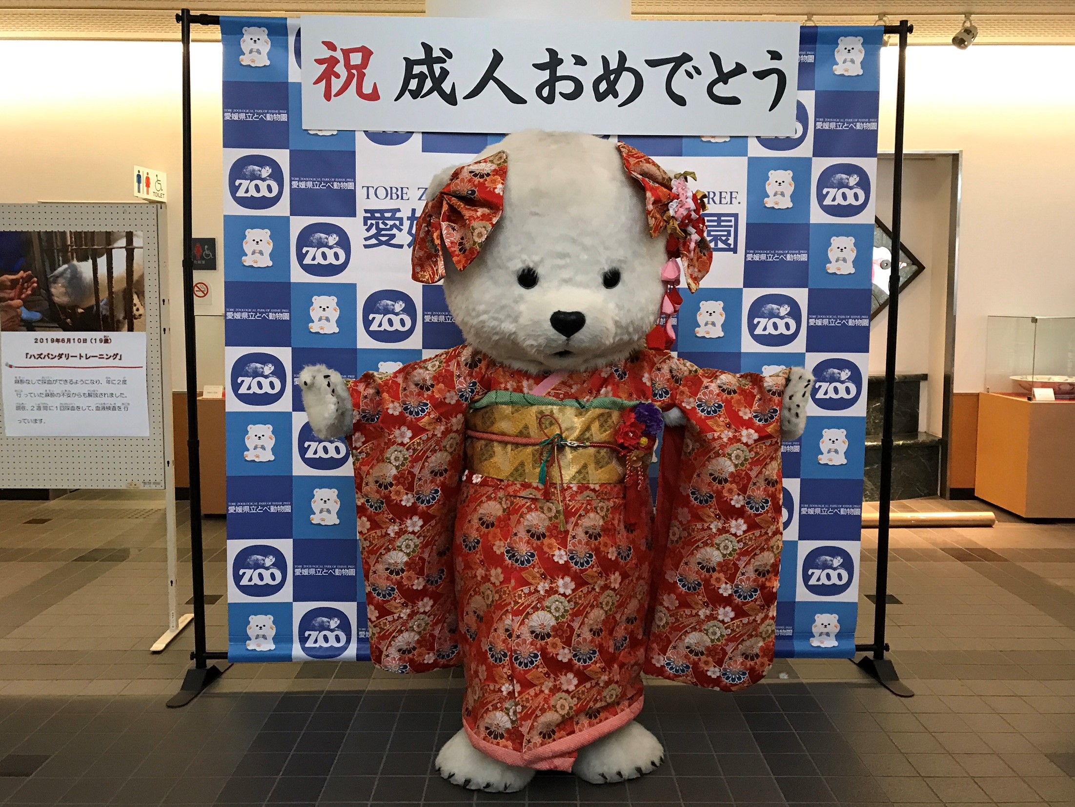 またし　シロクマ顔出し着ぐるみ またし様専用 シロクマ顔出し着ぐるみ
