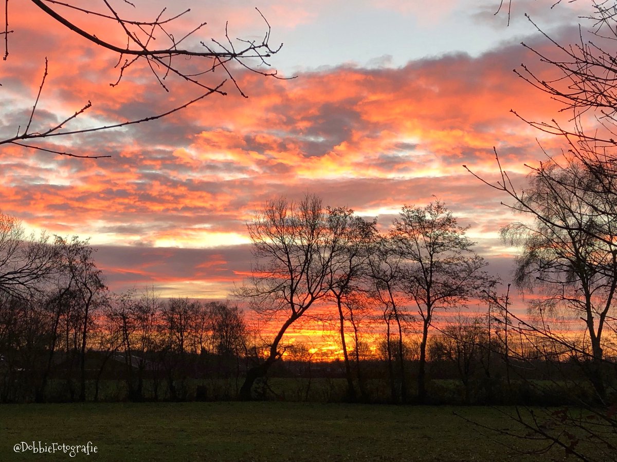 RijkenAstrid's tweet photo. тАЬColors are the smiles of natureтАЭ
~James Henry Leigh Hunt~
#ThePhotoHour #StormHour #rtlweer #sunrise #nature #morningred #Weather #naturephotography
@heatherpeace @HP_Community https://t.co/ikIdxGBCkS