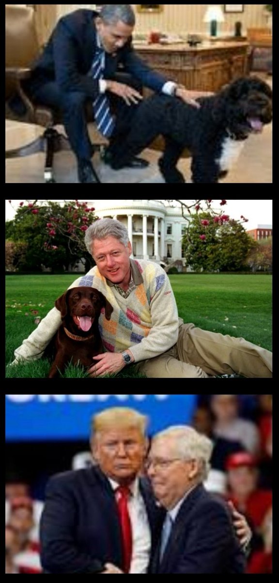 DavidUSBrandon's tweet photo. @CloseToHomeMD @bullshiffy @laceyladi2 @ArthurDodger @Enrico056 @ladyred1956 @LindaResister @qedigiv @StolenSceptre @1MoreFightinLib @TheNecroposter @heidioconnell33 @CrimsonQueen16 @SoCalTanya @CecereJoanne @claverackjac @Dakota_Mom2 @devlyn_angel @Annasterne1 @RealArbuckle @realDonaldTrump @toruk_san @sarrahh011 @Wrath_of_Comm @SpeakerPelosi @dunecat1 @RepAdamSchiff @ivyjofreeman @JodeneRdc Three United States Presidents With Their Pet Dogs!?!?!? 🇺🇲 https://t.co/kYlEGT1Dsn