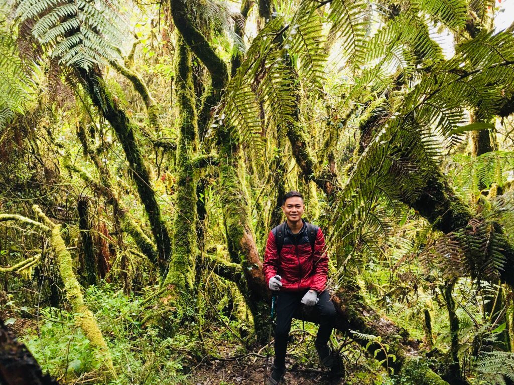 ShadowsOfGrey24's tweet photo. Ang daming moss. Pero mas madami yung time na namo-moss kita! 😢😂 #MossyForest #Mountpulag https://t.co/5mUIf5kgaw