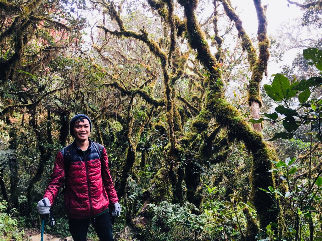 ShadowsOfGrey24's tweet photo. Ang daming moss. Pero mas madami yung time na namo-moss kita! 😢😂 #MossyForest #Mountpulag https://t.co/5mUIf5kgaw