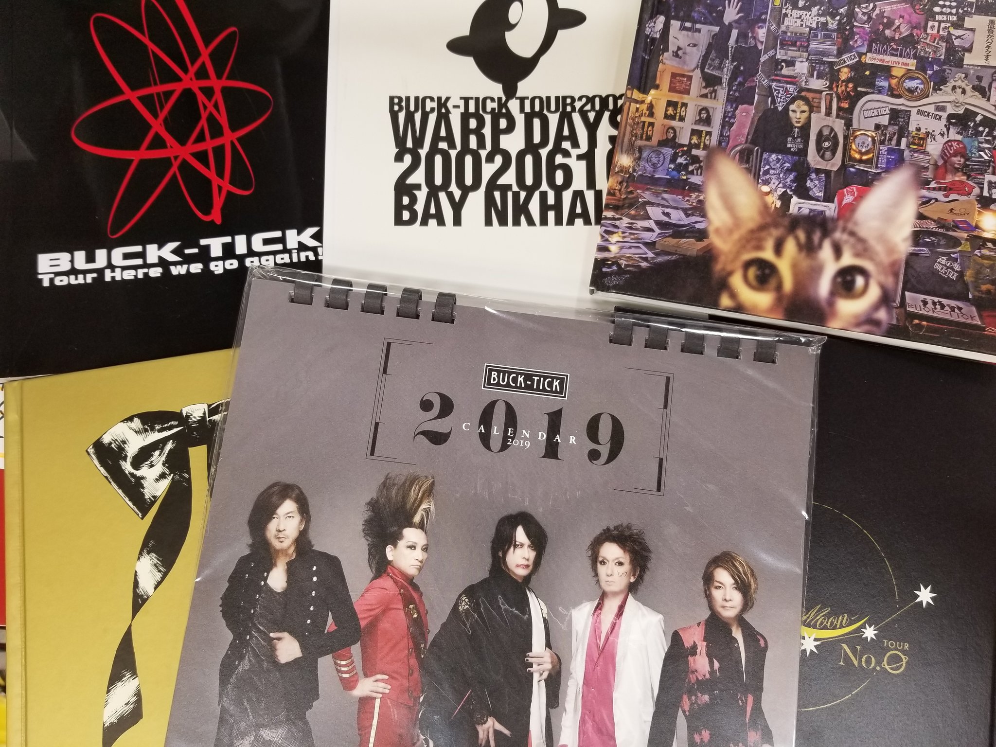 BUCK-TICK ツアー パンフ 「TOUR 1996 CHAOS」 - メルカリ