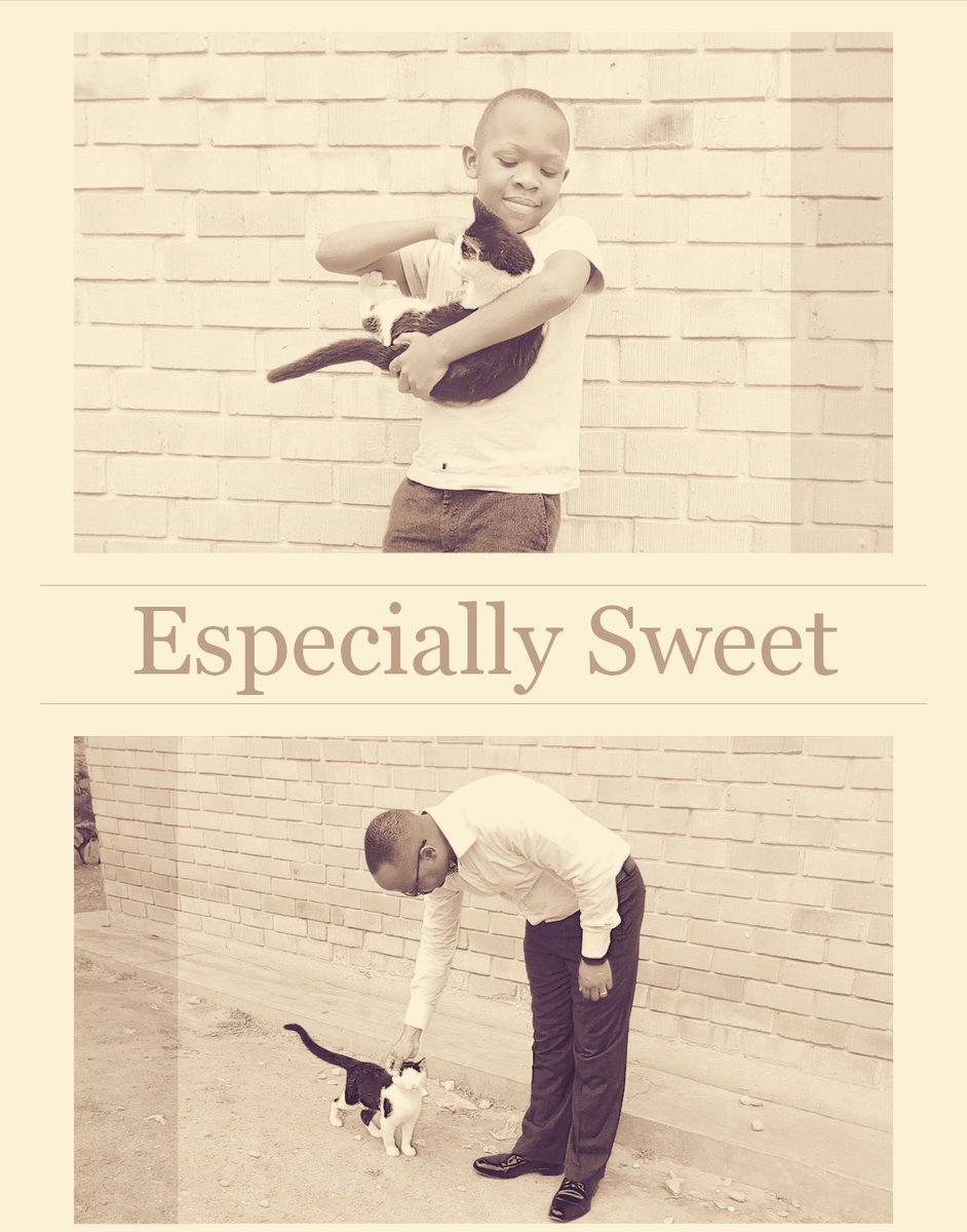 Matt's addition to our family.