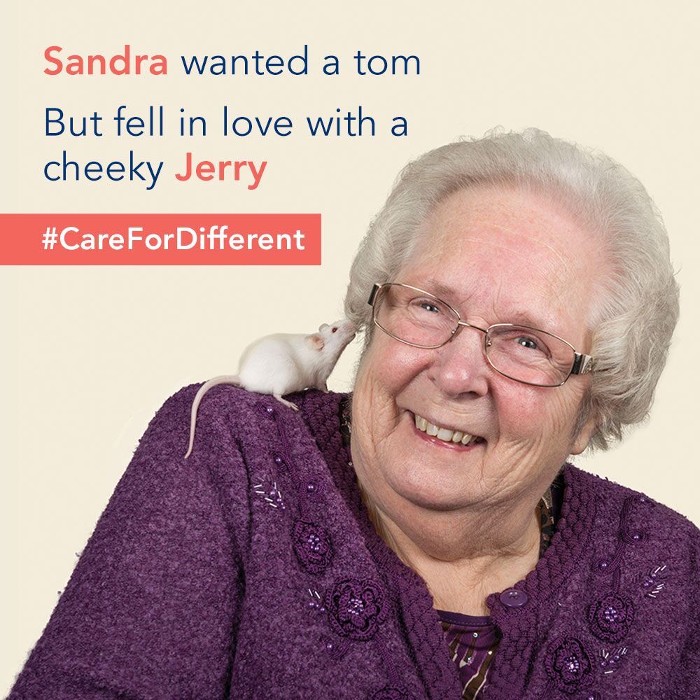 RSPCADerby's tweet photo. #CareForDifferent this January. We are open today for animal viewings 12.00pm-4.00pm.

#RSPCADerby #RescueRehabilitateRehome https://t.co/J848DBYGVV