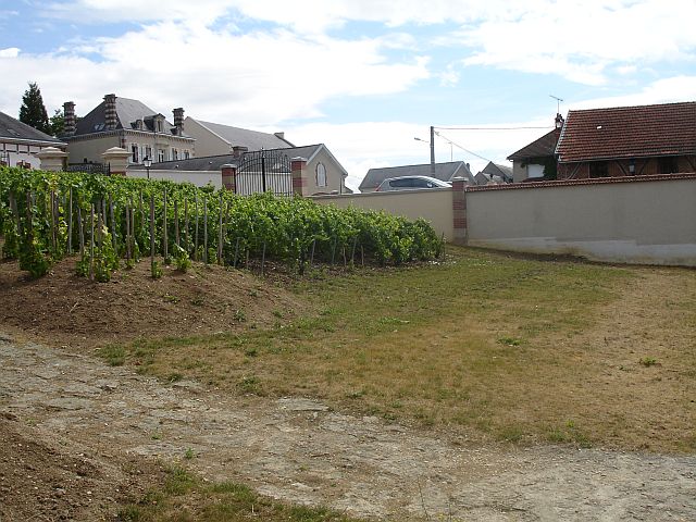 3 Things about champagne that not many people know mymaninchampagne.com/jiles-blog/405…