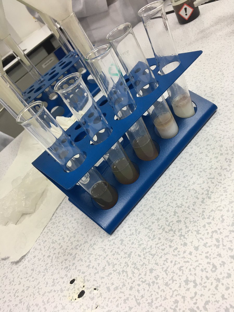 lindsaywilgrove's tweet photo. YR12 HL Bio investigating the inhibition of Catechol Oxidase in banana by heavy metals. @JESSScienceDept #JESSSubjectExperts #JESSRealWorld #JESSBioDept #JESSCriticalThinking #JESSEnquiry https://t.co/SrXEDfWj3m