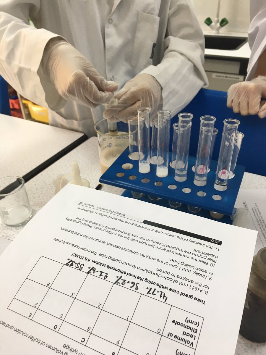 lindsaywilgrove's tweet photo. YR12 HL Bio investigating the inhibition of Catechol Oxidase in banana by heavy metals. @JESSScienceDept #JESSSubjectExperts #JESSRealWorld #JESSBioDept #JESSCriticalThinking #JESSEnquiry https://t.co/SrXEDfWj3m