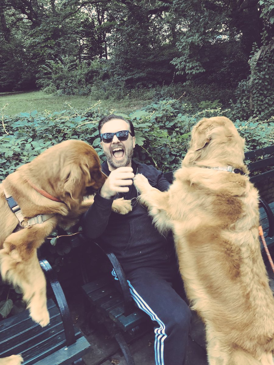rickygervais's tweet image. We don't deserve dogs. Have a great day.