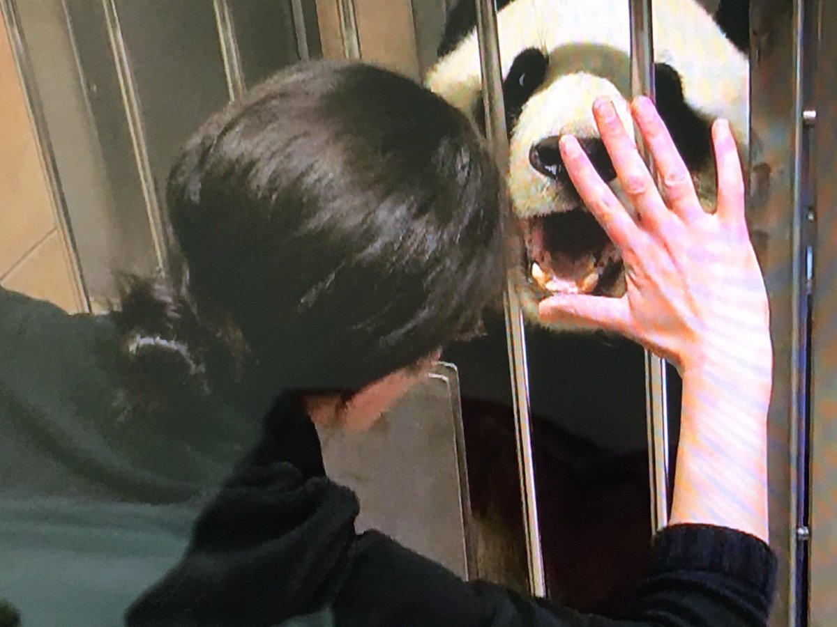 探検世界の動物園の舞台裏 探検世界の動物園の舞台裏