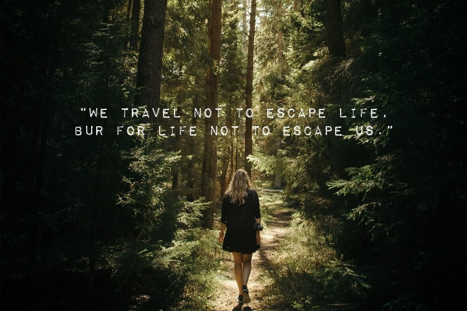 SeeUAround4's tweet photo. 🍃🌿
°
°
#Travel #quotesaboutlife #justbreathe #enjoylife #traveling #quoteoftheday #travelbloggers #seeuaround #LifesTooShort #LifeLessons #lovetotravel #quote https://t.co/ArfIn7eEO3