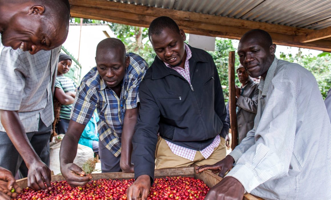 OriginCoffeeRoasting tweet media