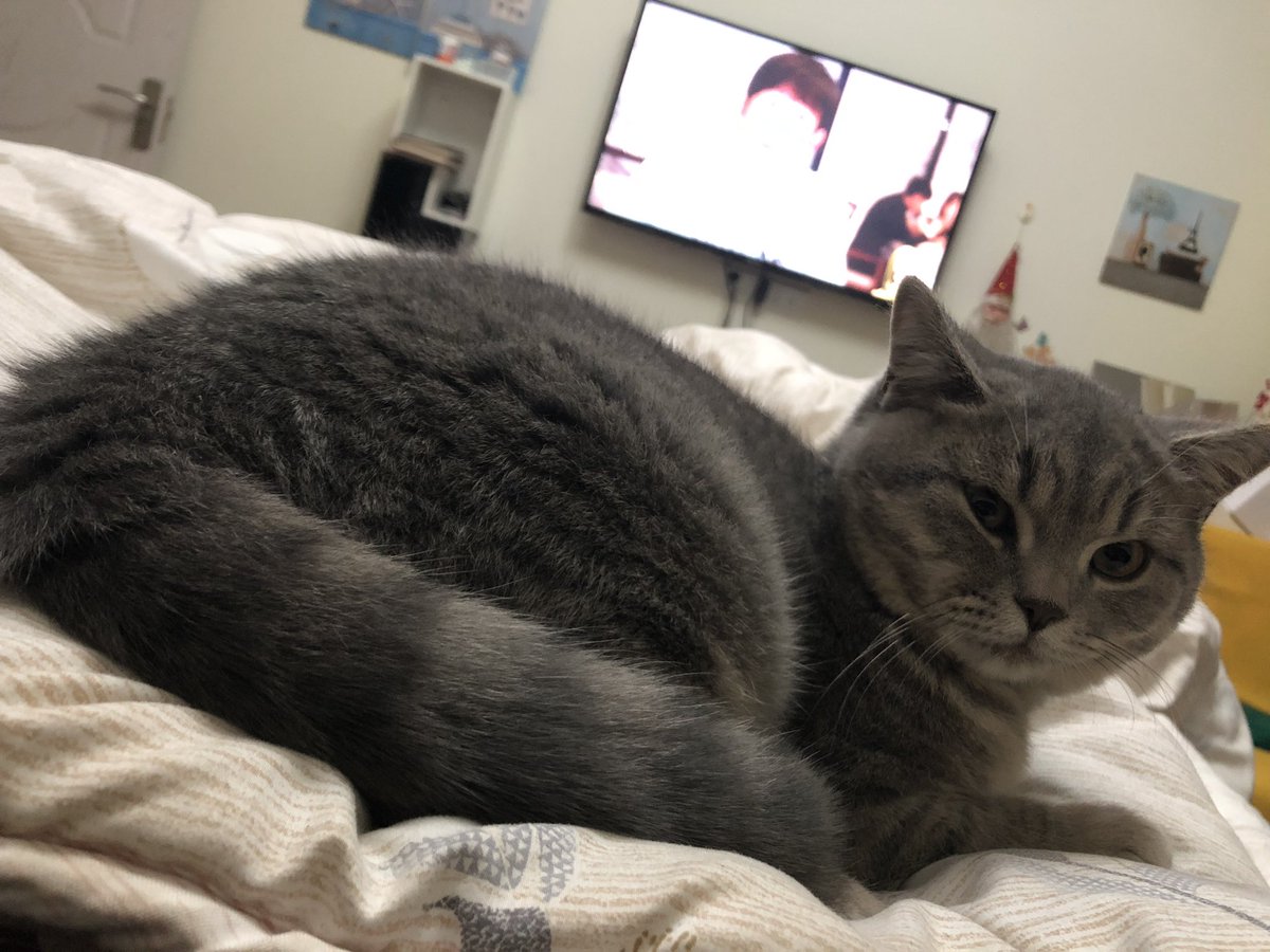 maqiduo26's tweet photo. Excuse miao~ https://t.co/NVRIEe34Fl