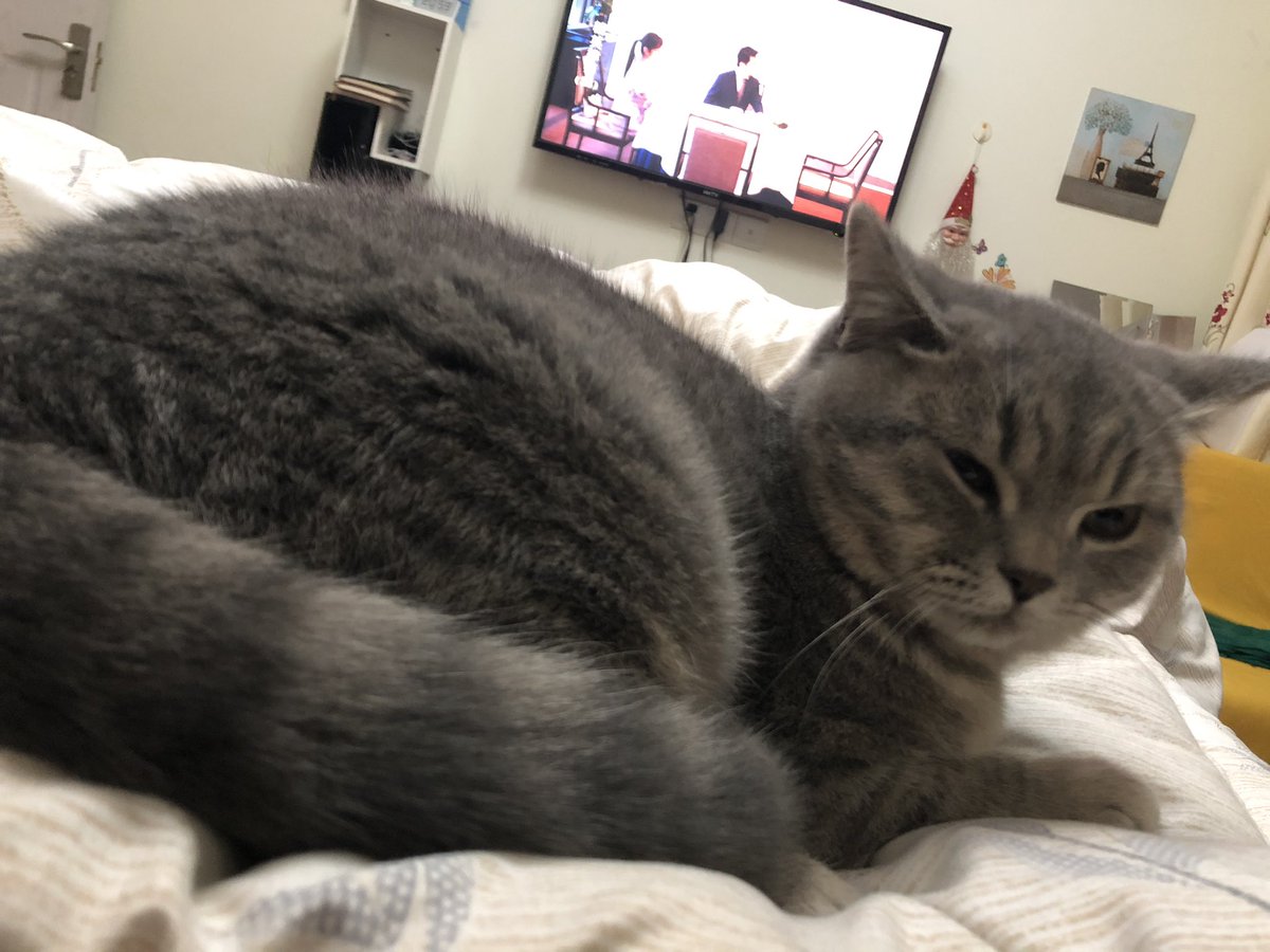 maqiduo26's tweet photo. Excuse miao~ https://t.co/NVRIEe34Fl