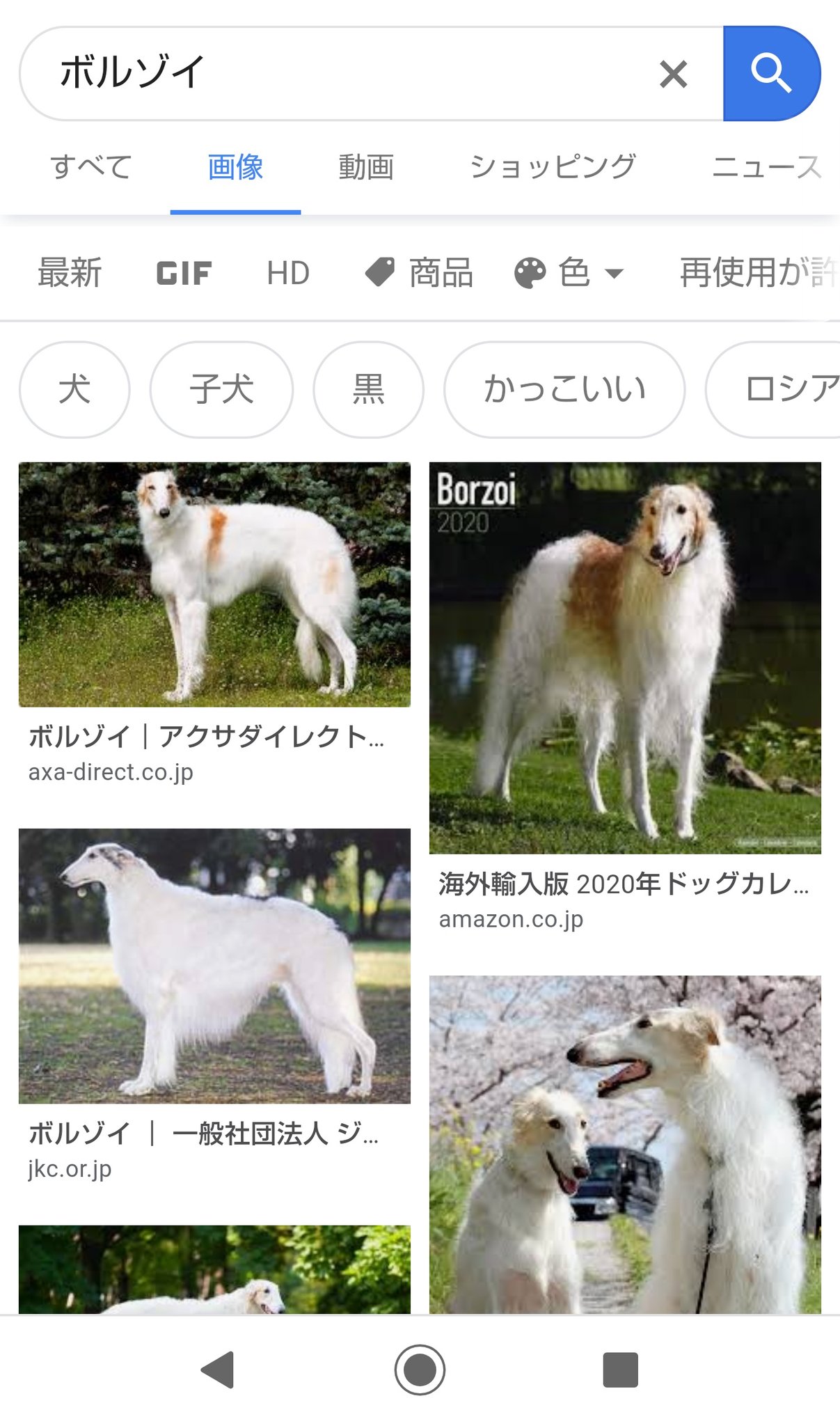 柘榴 秋スト ファッ Colorscircus1 こんばんは 真ん中一番下はボルゾイではなくアフガンハウンドではないでしょうか T Co Qfwybu6vrk Twitter