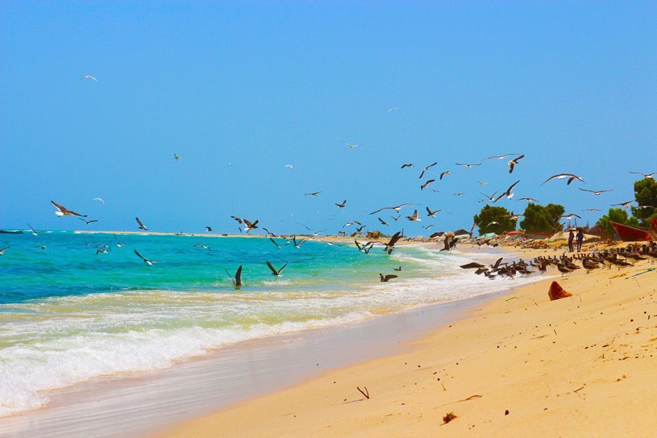 yaasircm's tweet photo. Let's see the other side of Somalia
#somalia https://t.co/bukqVYWnCO