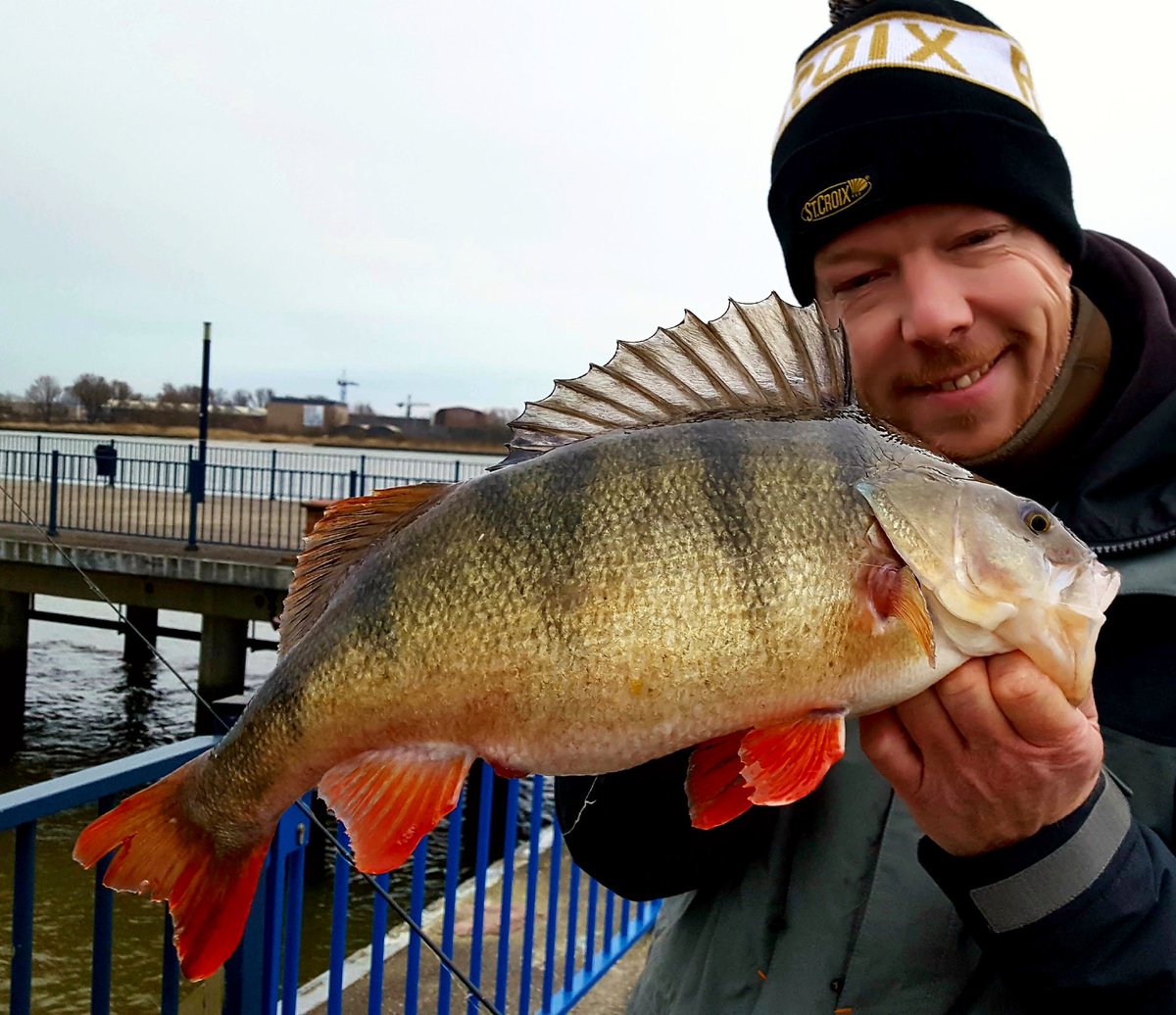Dag met een hoogtepunt, zie foto en een dieptepunt! #AartStaartjes Van beide kan je zeggen "zo zie je ze maar zelden".....   Tja...