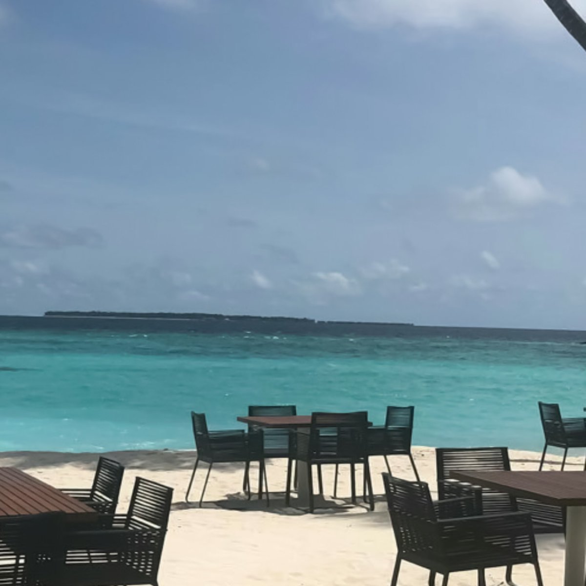 ㅤㅤㅤㅤ🚨ILEGAL─RUNNER두려⊹몸
︴THE JOKER ╳ 言 good day off. Right? Lets have some fun.