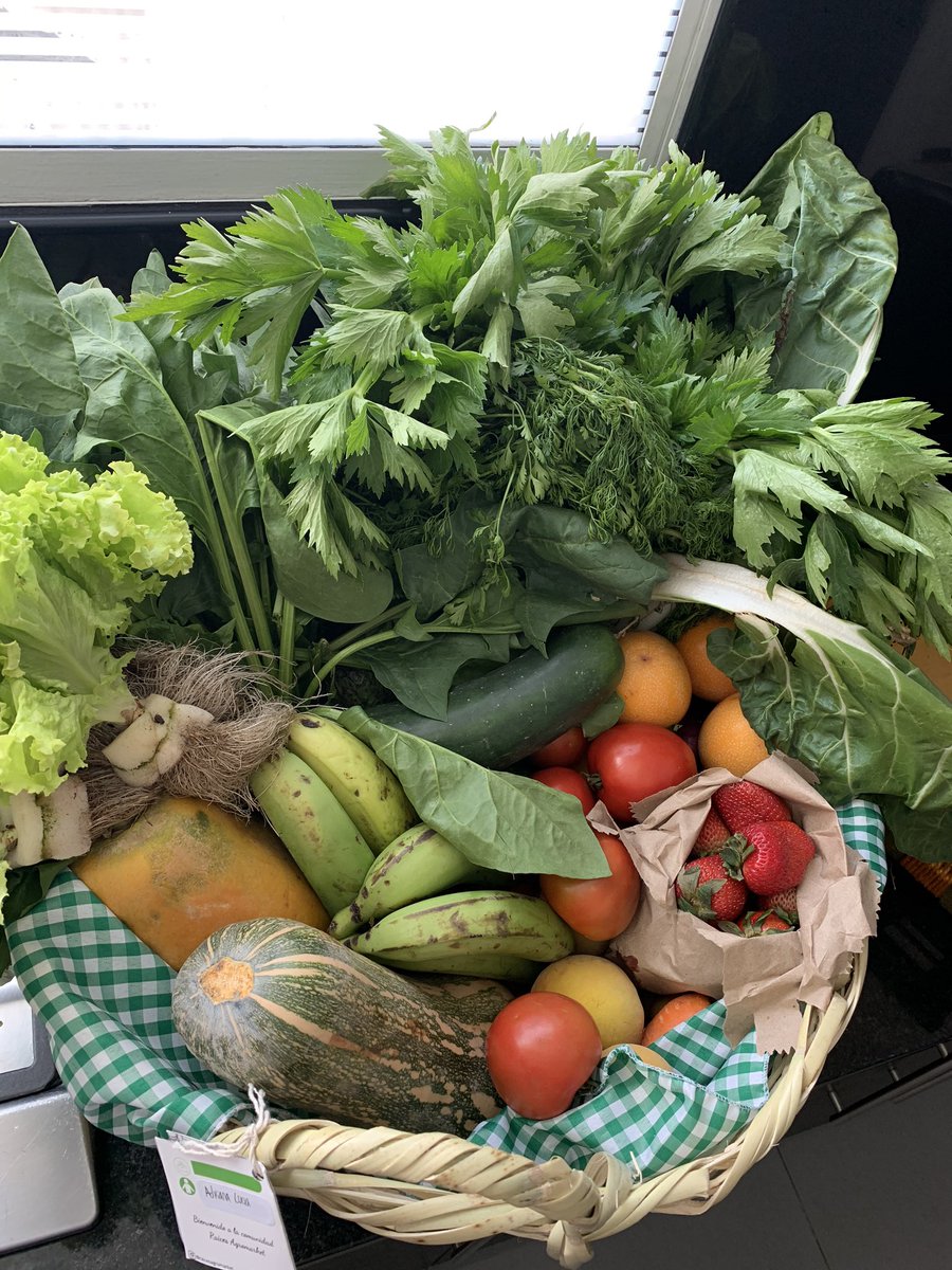 ashima7's tweet photo. ¡Miren la belleza que acaba de llegar a mi casa!🥬🍊🍓
Mercado en canasto, fresco, hermoso y con productos de campesinos 🇨🇴.
Se llaman Raíces Agromarket los encuentran en Instagram como @raicesagromarket y en WhatsApp +57 3157802468
¡Anímense!
P.D. Ojo al empaque de los huevos ❤️ https://t.co/CjKQidbh7W