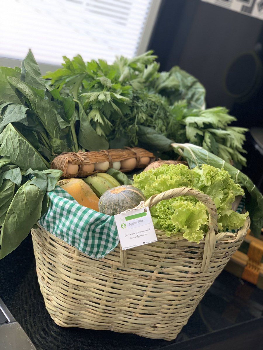 ashima7's tweet photo. ¡Miren la belleza que acaba de llegar a mi casa!🥬🍊🍓
Mercado en canasto, fresco, hermoso y con productos de campesinos 🇨🇴.
Se llaman Raíces Agromarket los encuentran en Instagram como @raicesagromarket y en WhatsApp +57 3157802468
¡Anímense!
P.D. Ojo al empaque de los huevos ❤️ https://t.co/CjKQidbh7W