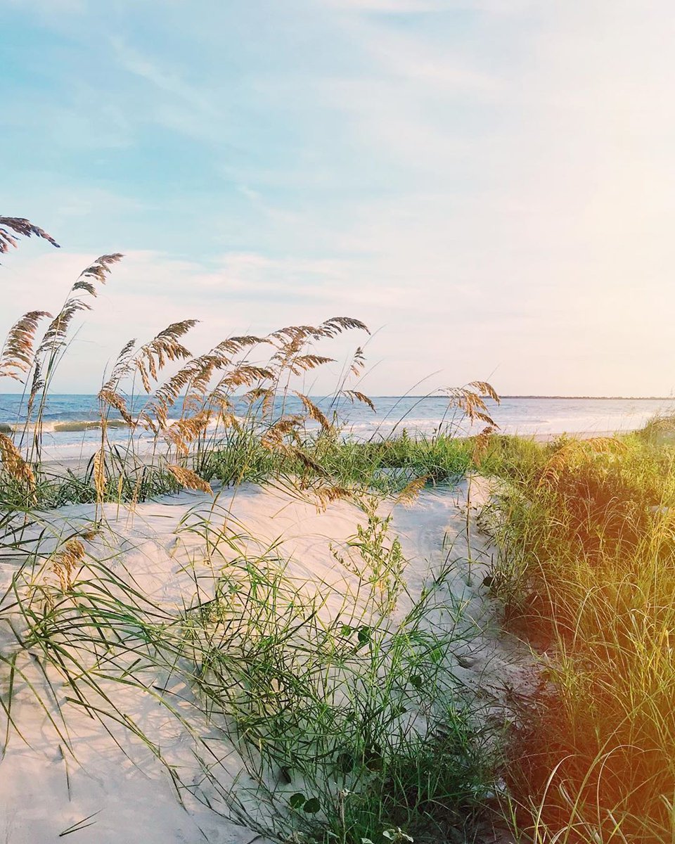OldWhalingCo's tweet photo. Scenes from Sullivan's Island 🌊// 📸: Colleen Burdett #explorecharleston https://t.co/kPGmZsKFKV