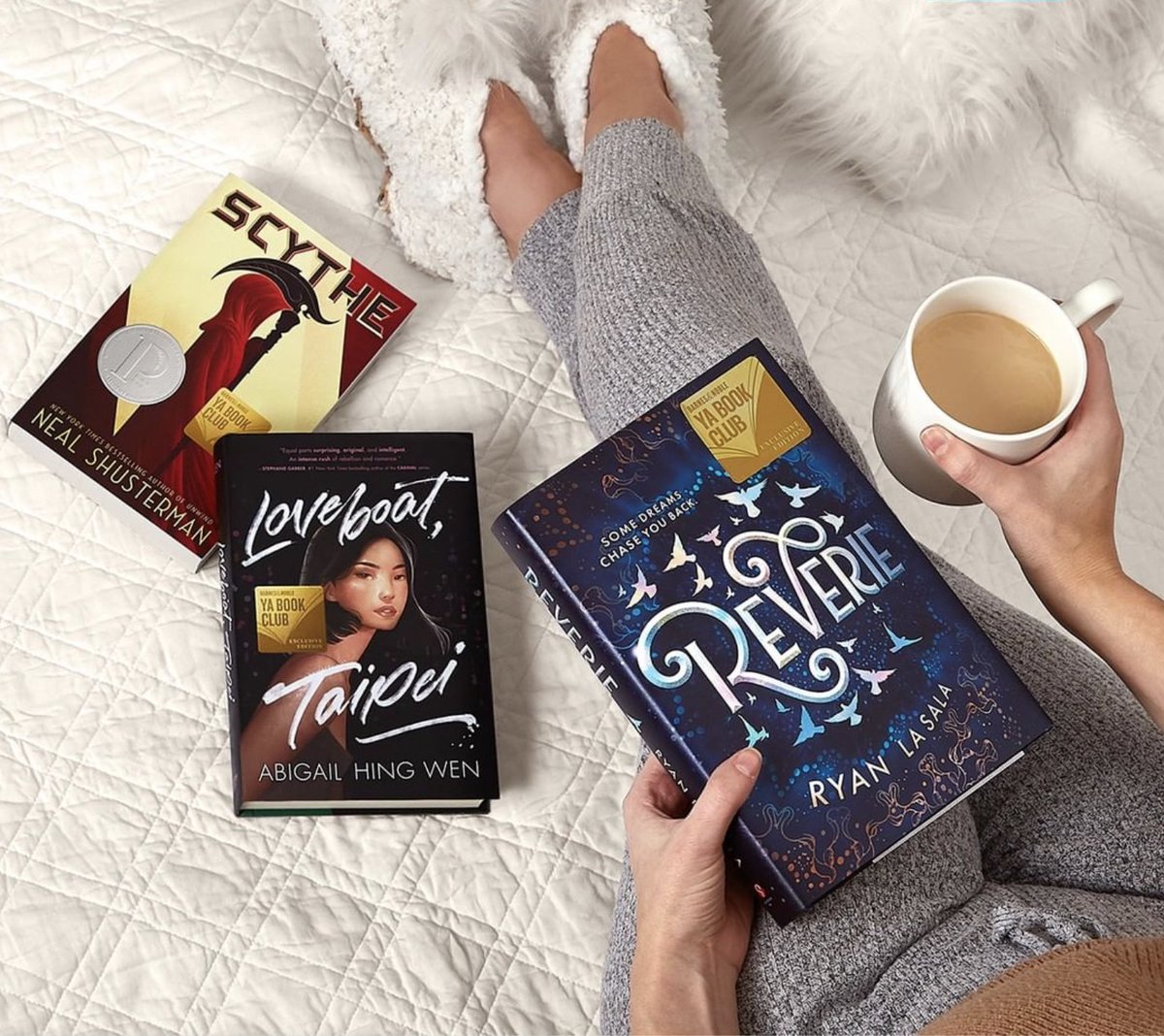 GoPalladio's tweet photo. If you need us today, bring us a bookmark.... @barnesandnoble https://t.co/LydkB6oQnQ
