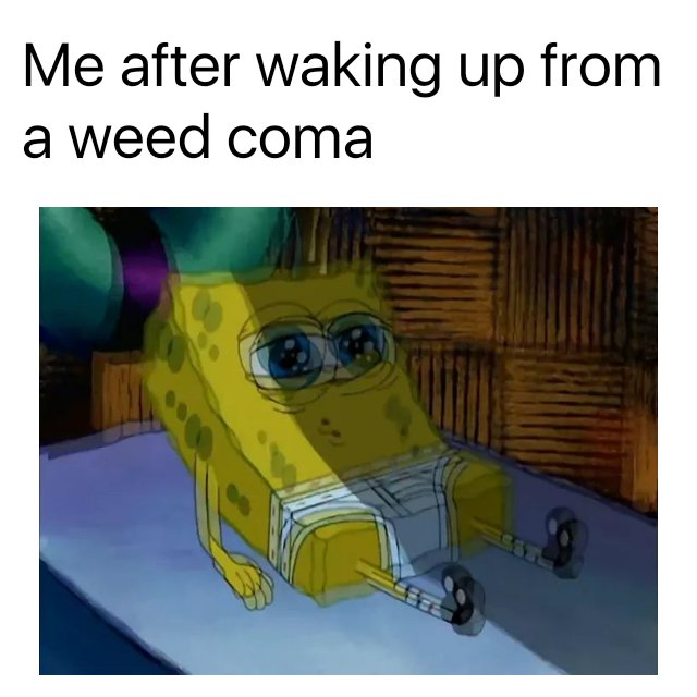 LordMenace1's tweet photo. LMFAO #StonerSWThread https://t.co/LY21DqzzDX